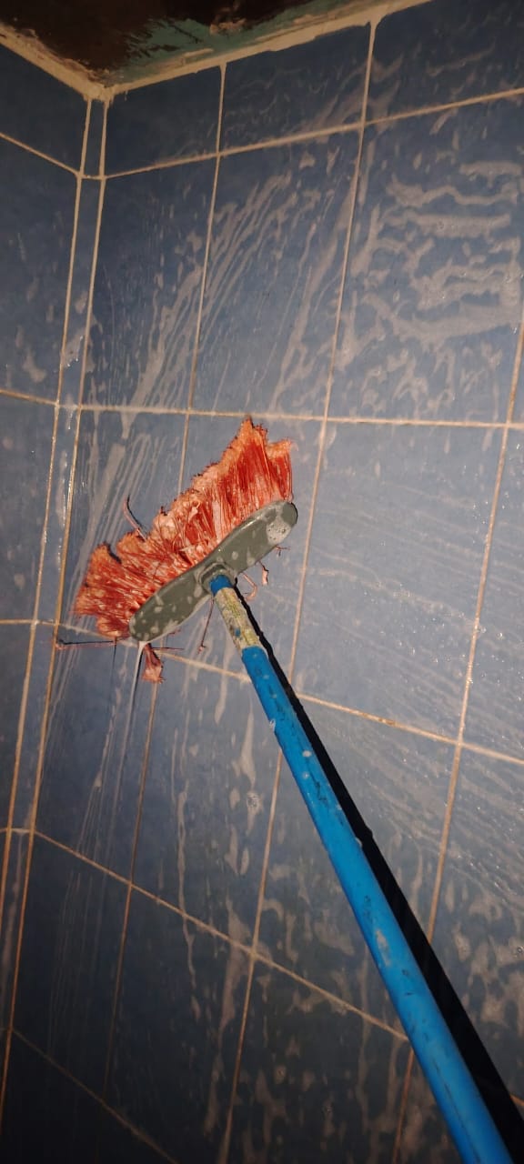 reparaciones